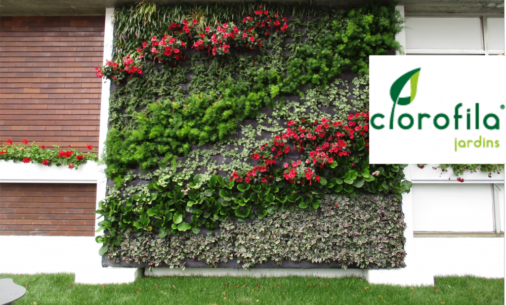 CLOROFILA | SOLUÇÕES VERDES